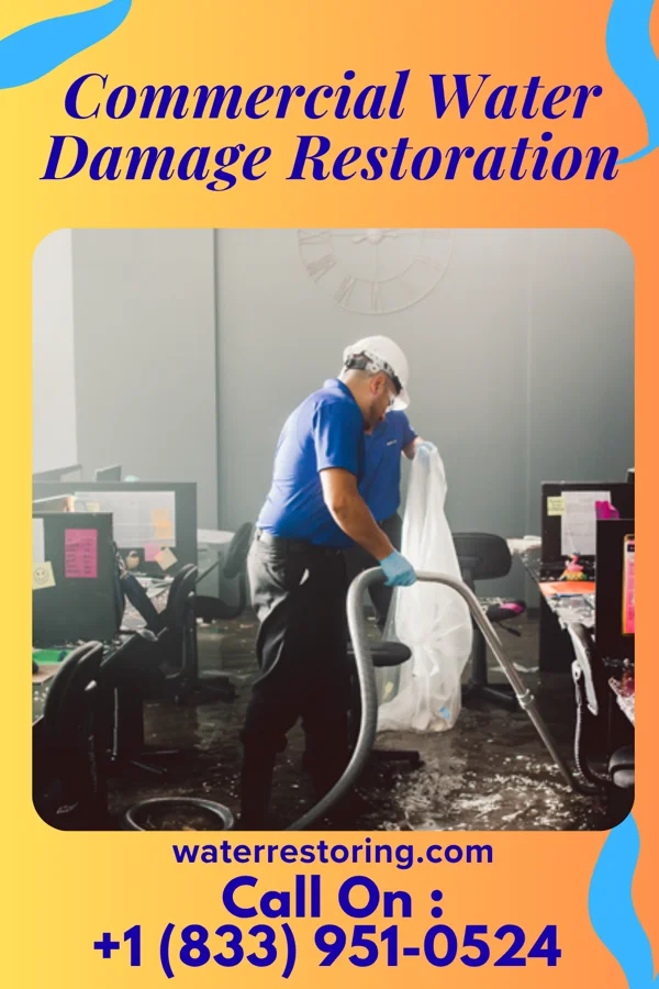 Commercial Water Damage Restoration in Encino, NM